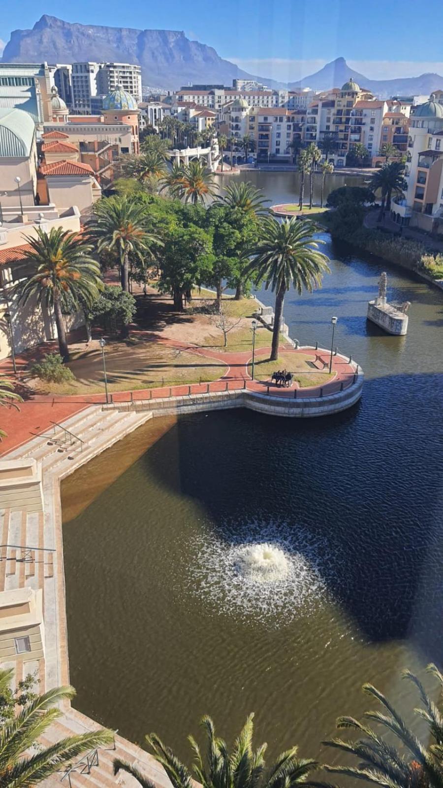 Century City Boutique Apartments كيب تاون المظهر الخارجي الصورة